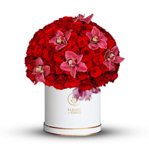 Big Red Rose Cymbidium Premium