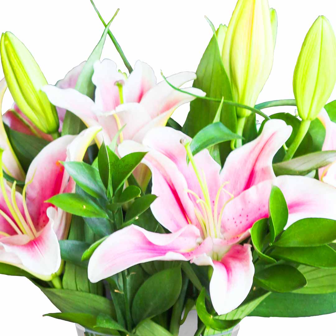 Pink Lilies Vase Choiceflowersuae