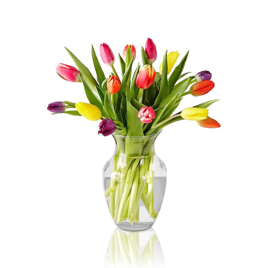 Mixed Tulips in Glass vase Lucky Mother Arrangement