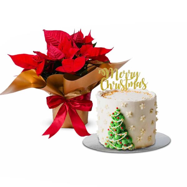 Poinsettia Cake Christmas Combo