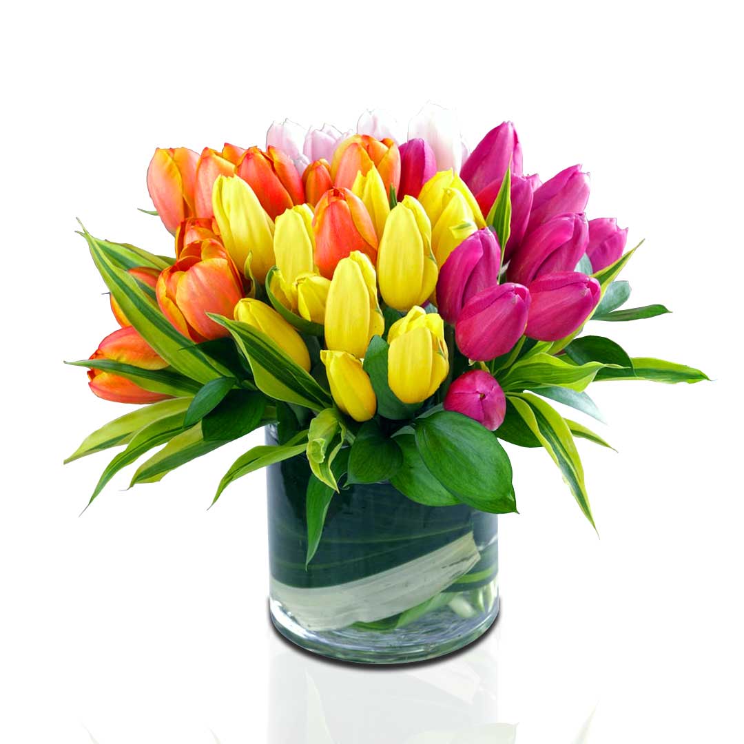 Colourful Tulips In Glass Vase Choiceflowersuae