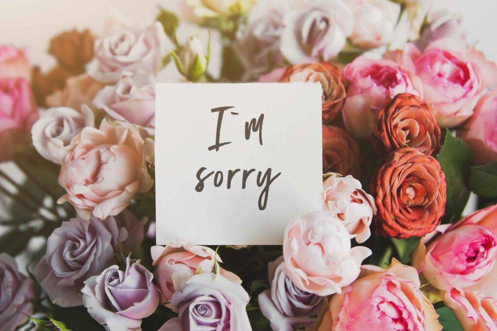apology flowers 