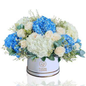 Shown-white-and-blue-rose