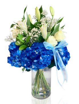 White and Blue Serenity