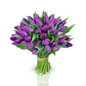Bunch-of-purple-tulips