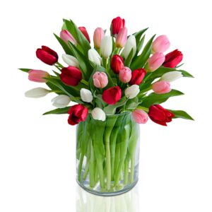 Tri-colour-tulip-glass-vase