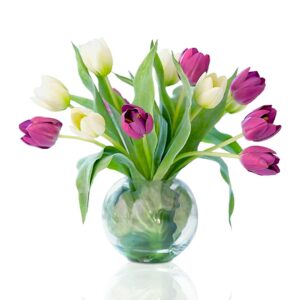 White-and-purple-tulip-round-glass-vase