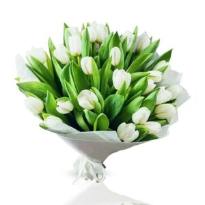 White-tulip-bouquet