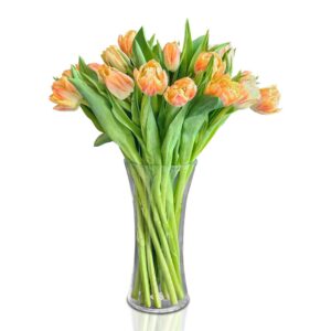 Orange-shade-tulip-glass-vase