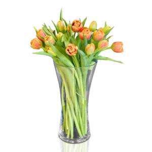 Orange-tulip-glass-vase