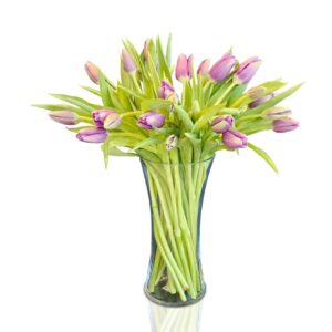 Pink-tulip-glass-vase