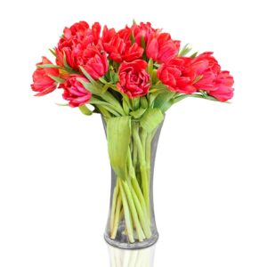 Red-tulip-glass-vase