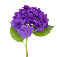 Abundant Love
