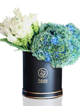 Blue lady - White and green hydrangea Box Arrangement