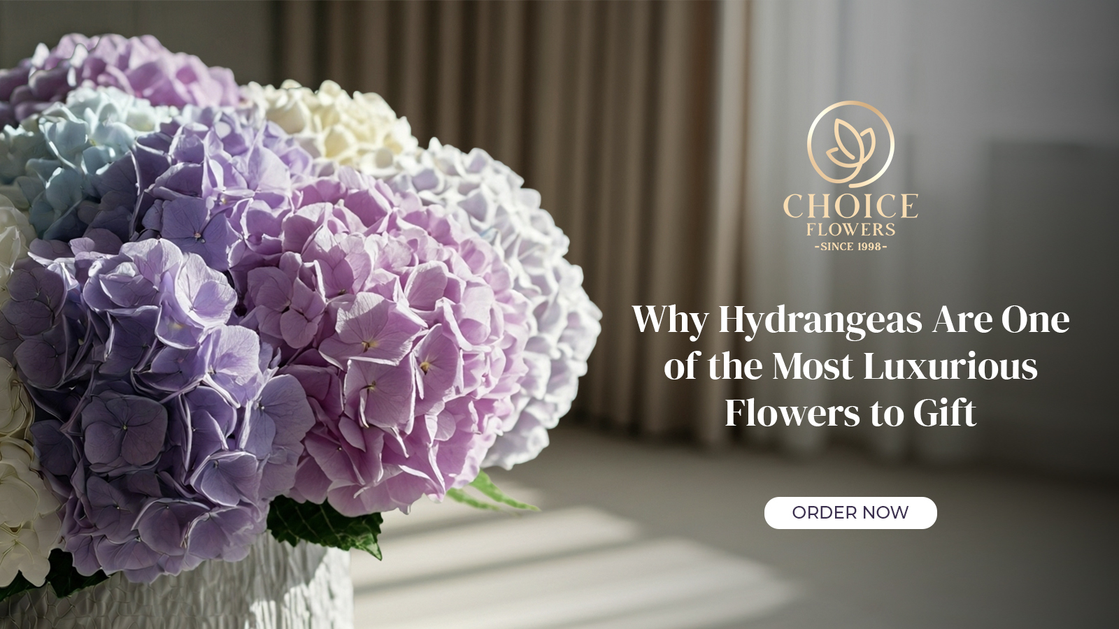Why Hydrangeas Are One of the Most Luxurious Flowers to Gift