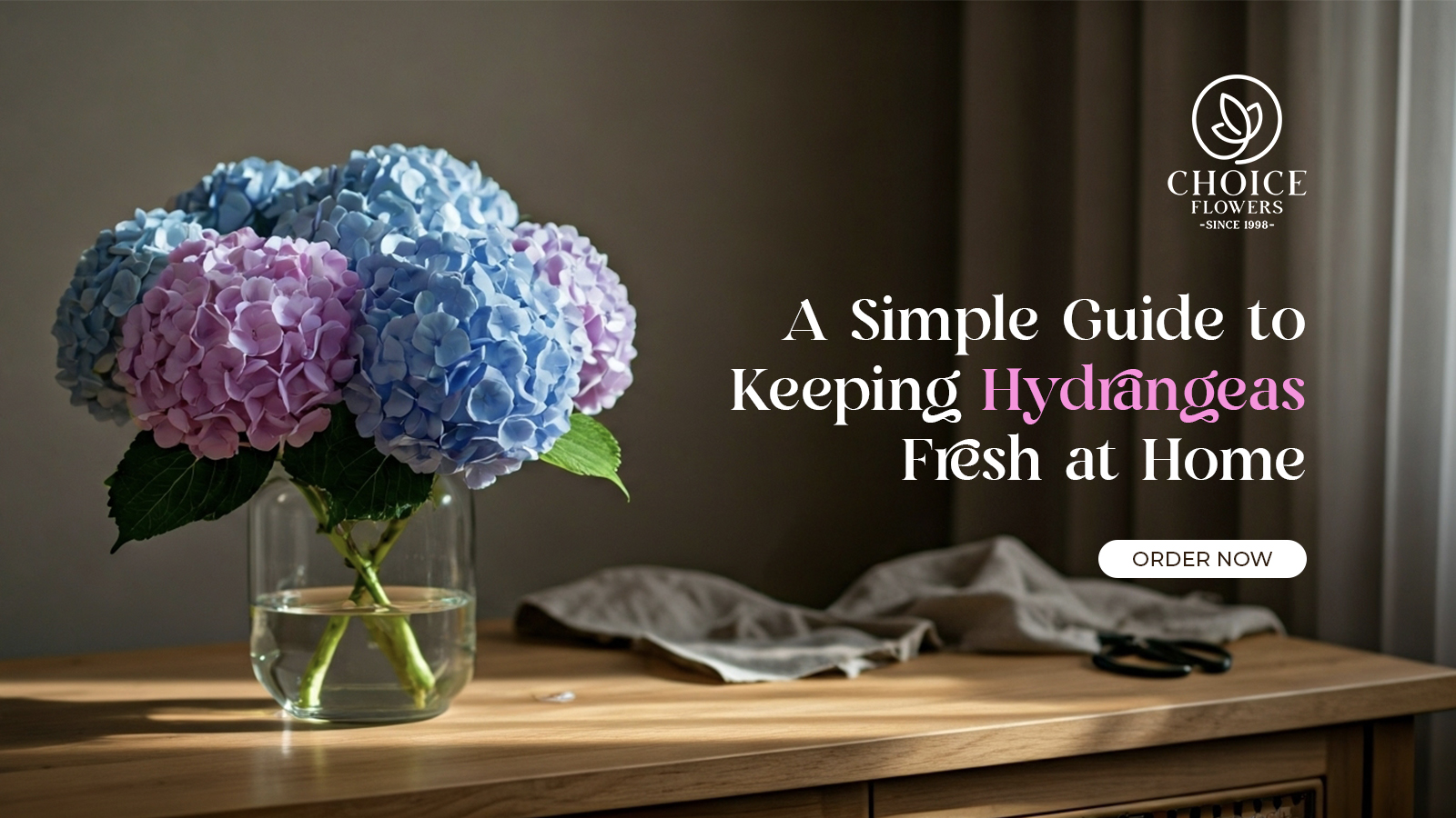 A Simple Guide to Keeping Hydrangeas Fresh at Home