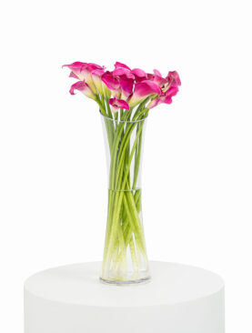 Dark Pink Cala Lily Vase Cylinder