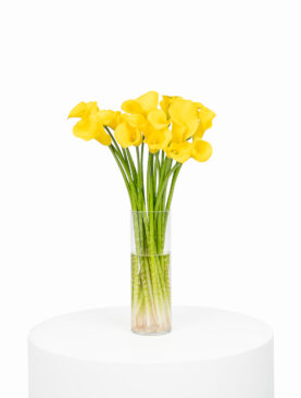 Yellow Cala Lily Vase Arrangement